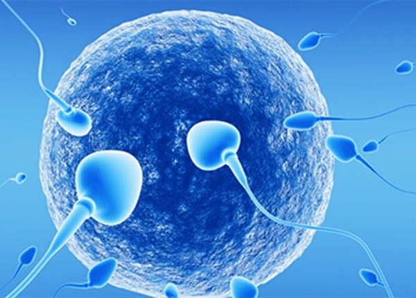 精子常規檢查怎麼做 深圳驗精費用及流程詳細攻略